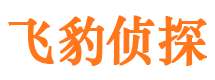 新兴侦探公司